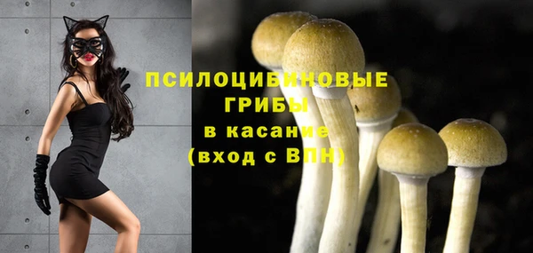 ALPHA PVP Алзамай