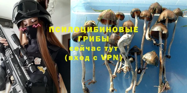 ALPHA PVP Алзамай