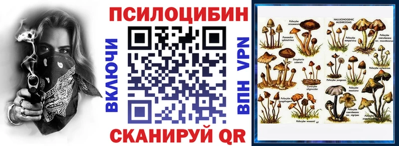 кракен зеркало  что такое   Каргат  Галлюциногенные грибы мицелий 